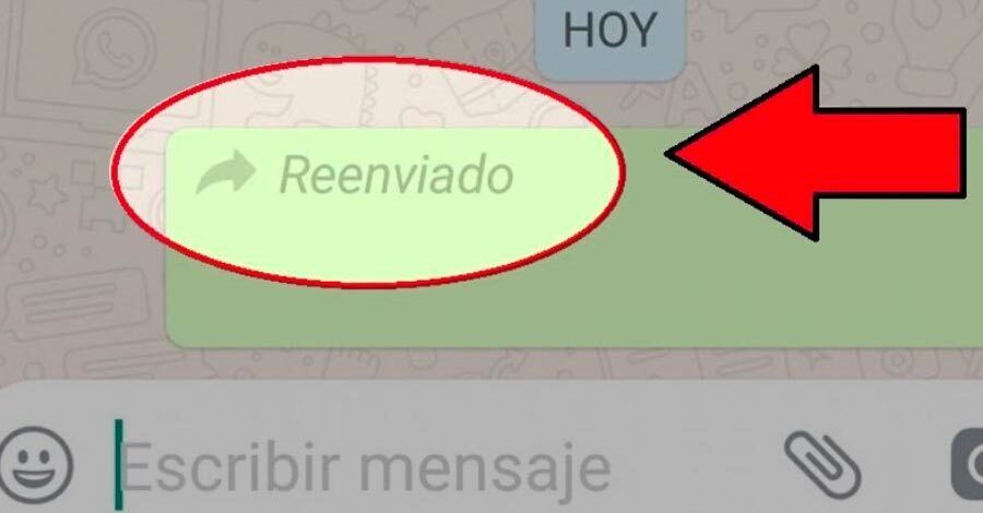 Colón Portal Cómo Reenviar Sin Que Aparezca La Etiqueta De Reenviado En Whatsapp 1419